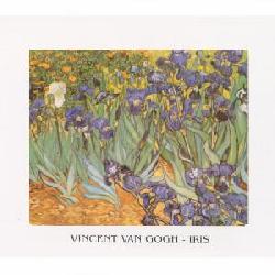 Lamina - Iris Marcos y Cuadros