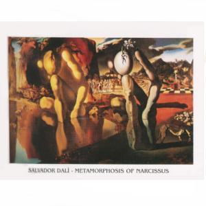 Lamina - Metamorphosis of Narcisus