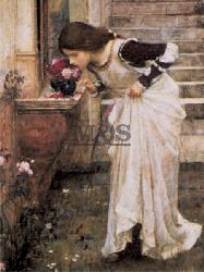 Lamina - The shrine Marcos y Cuadros