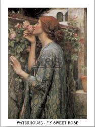 Lamina - My sweet rose Marcos y Cuadros