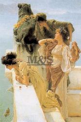 Lamina - Position avantageuse Marcos y Cuadros