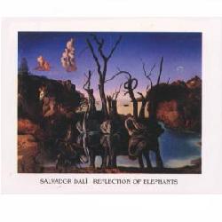 Lamina - Reflection of elephants Marcos y Cuadros