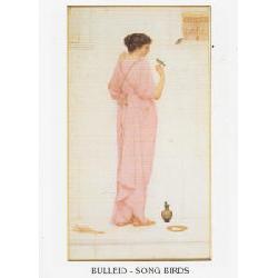 Lamina - Song Birds Enmarcado de laminas