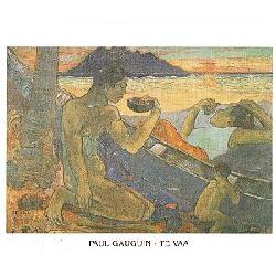 Lamina - Te Vaa Marcos y Cuadros