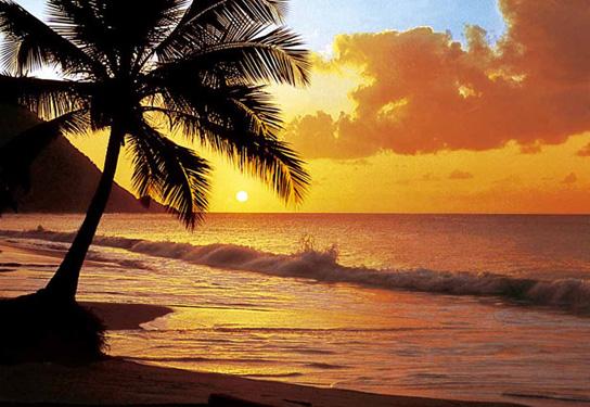 Poster para pared - Pacific sunset