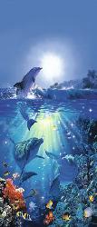 Poster para pared - Dolphin in the sun Enmarcado de cuadros