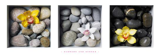 Lamina - Flowers and Stones