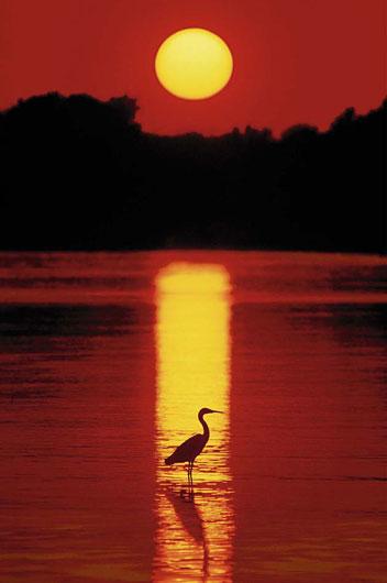 Poster - Sunset in Florida