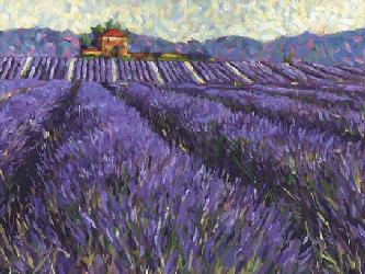 Lamina - Lavender Fields I Marcos y Cuadros