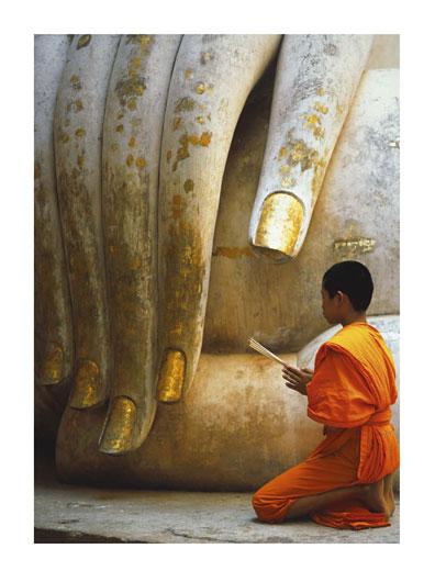 Lamina - The Hand of Buddha