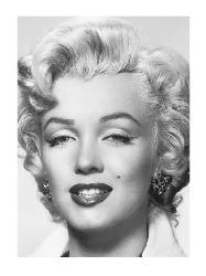 Lamina - Marilyn Portrait  Enmarcado de laminas