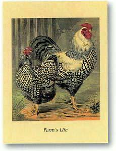 Lamina - Farm life I