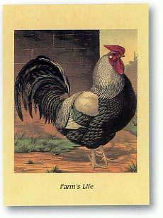 Lamina - Farm life III