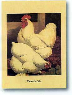 Lamina - Farm life IV