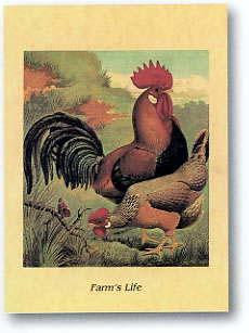 Lamina - Farm life V