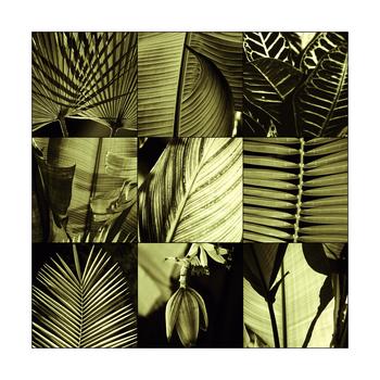 Lamina - Tropical Leaves I