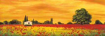 Lamina - Field of Poppies