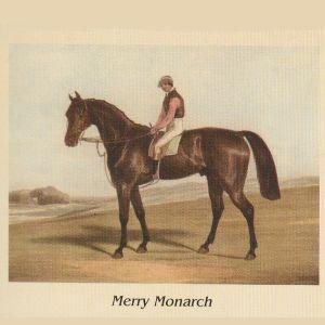 Lamina - Cavalli Merry Monarch