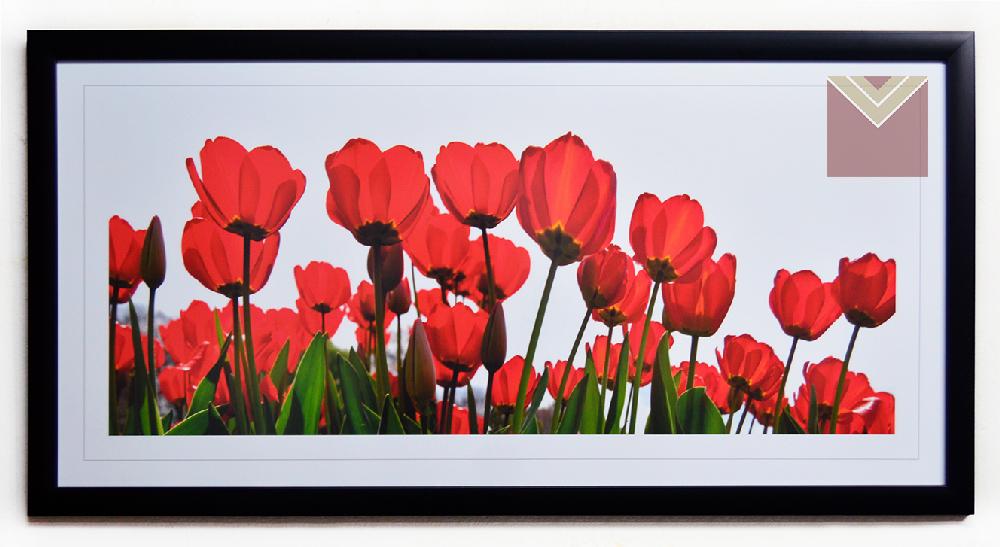 Cuadro tulipanes rojos