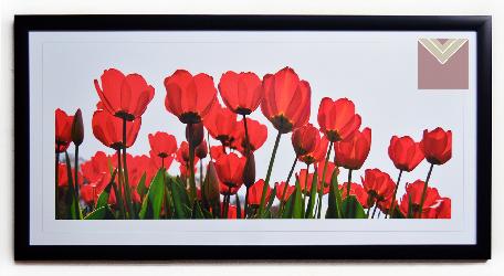 Cuadro tulipanes rojos Marcos y Cuadros